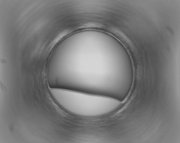 X0000090971321200708021134