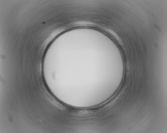 X0000090971322200708021134