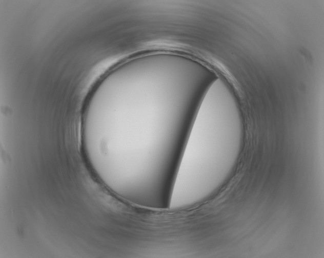 X0000090971323200708021134