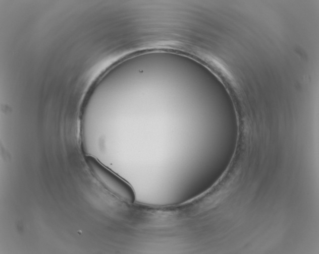 X0000090971324200708021134