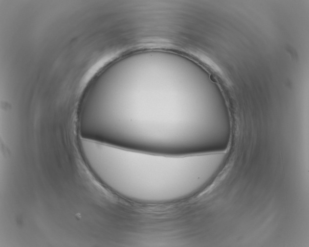 X0000090971325200708021134