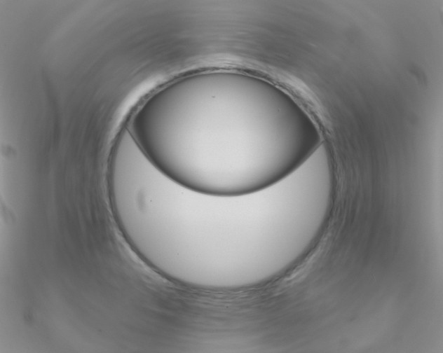 X0000090971326200708021134