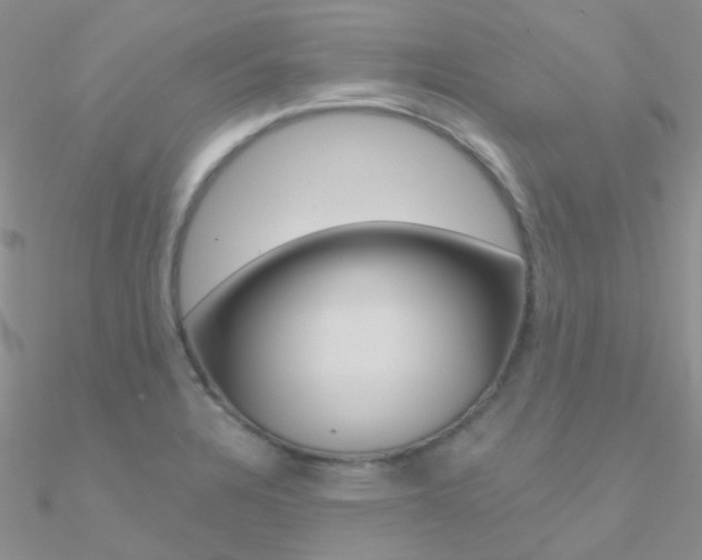 X0000090971328200708021134