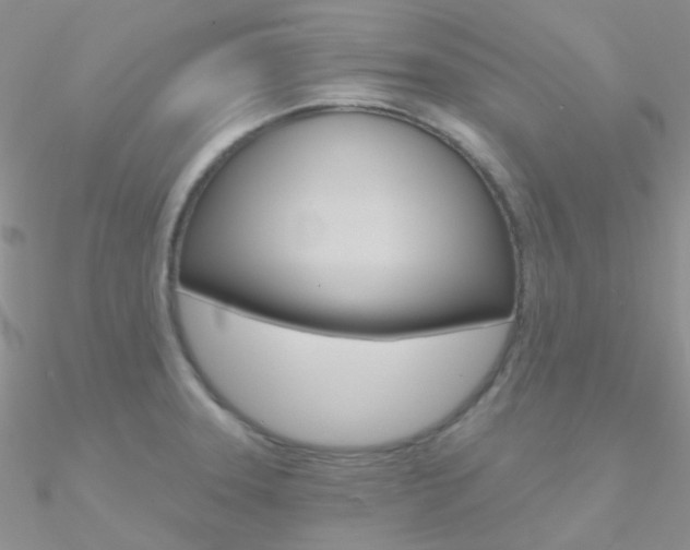 X0000090971331200708021134