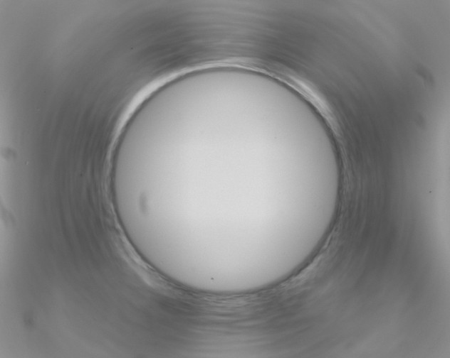 X0000090971332200708021134