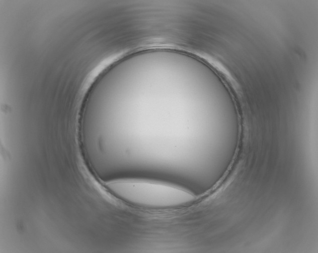 X0000090971333200708021134