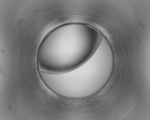X0000090971334200708021134