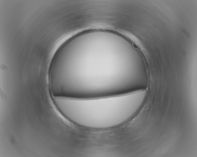X0000090971335200708021134