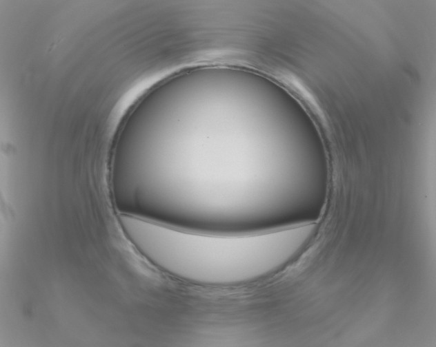 X0000090971336200708021134