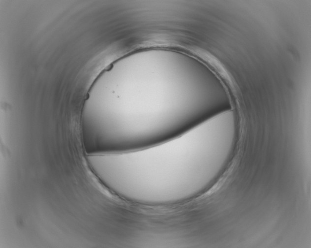 X0000090971337200708021134