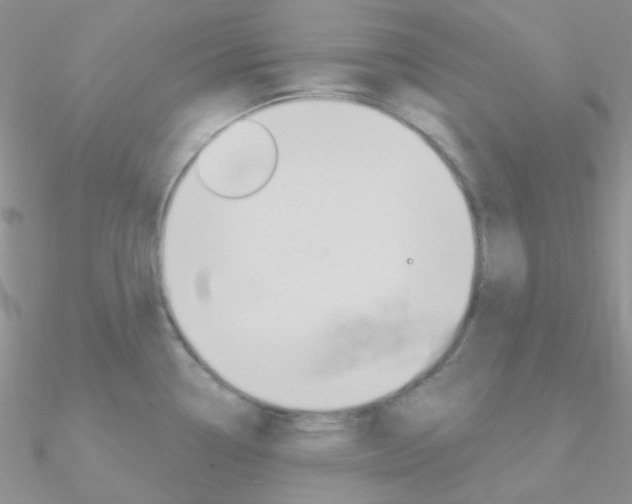 X0000090971338200708021134