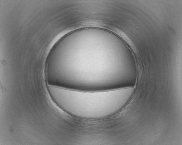 X0000090971339200708021134