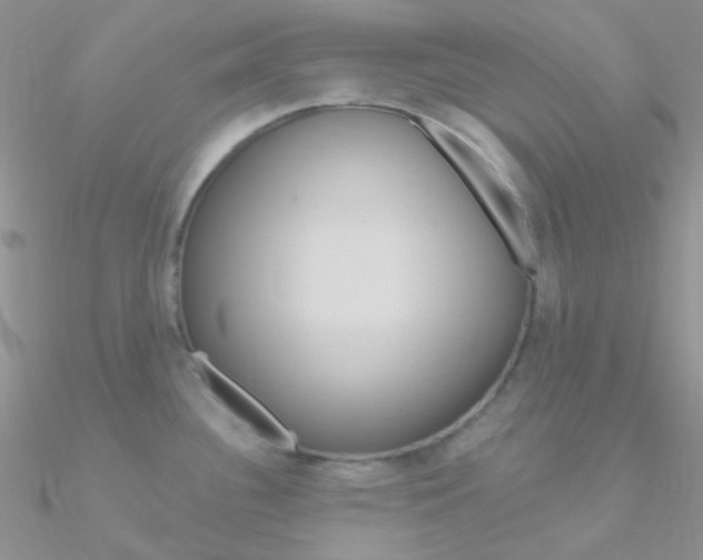 X0000090971340200708021134
