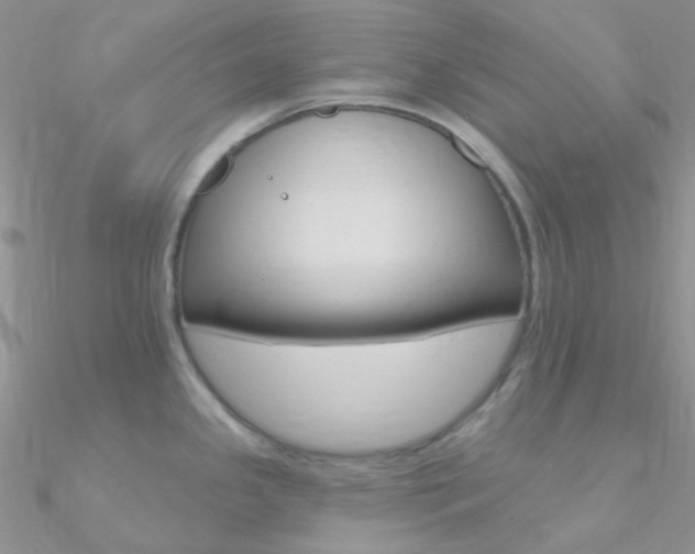 X0000090971341200708021134