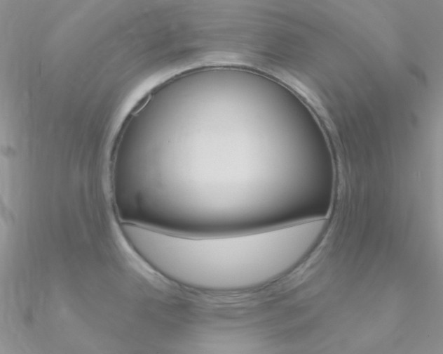 X0000090971342200708021134