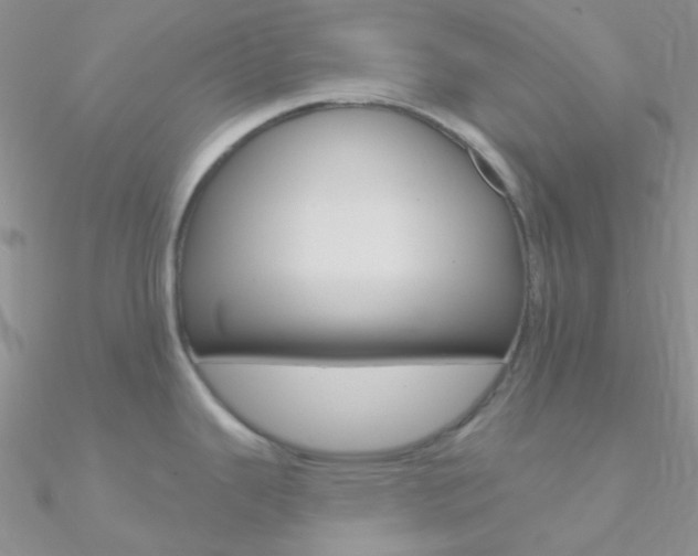 X0000090971343200708021134