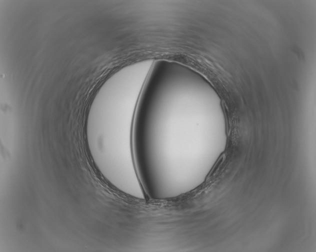X0000090971345200708021134