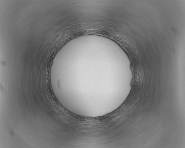 X0000090971346200708021134