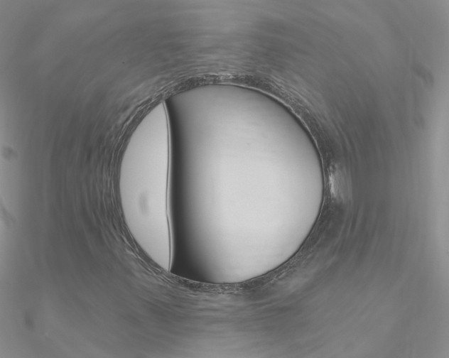 X0000090971347200708021134