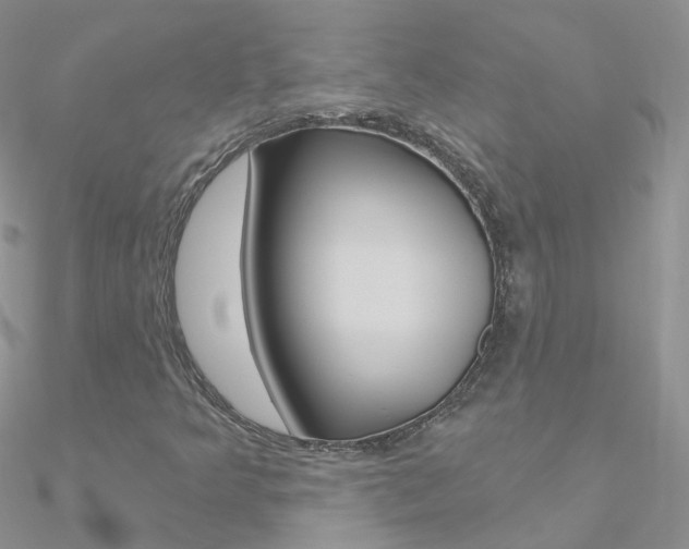 X0000090971349200708021134