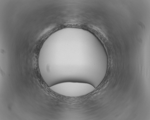 X0000090971350200708021134