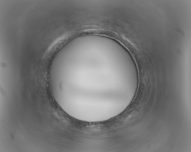 X0000090971351200708021133