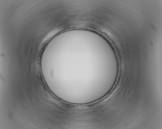 X0000090971354200708021133