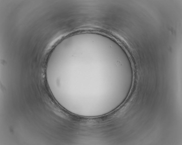 X0000090971355200708021133