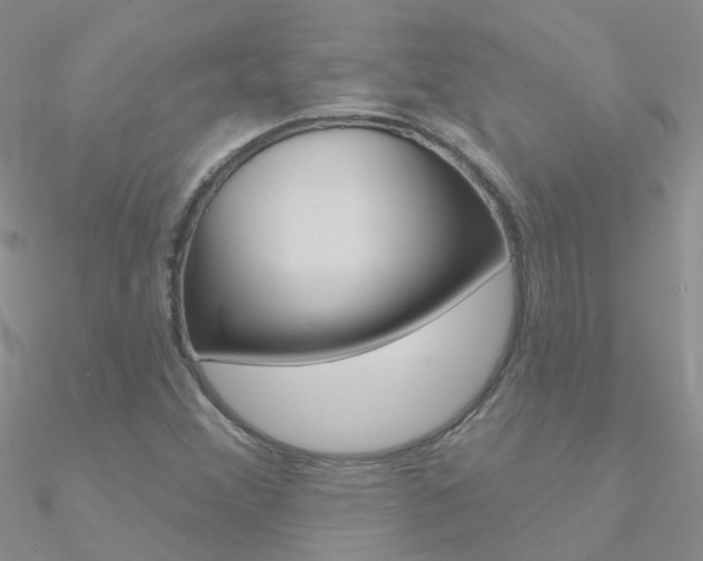 X0000090971356200708021133