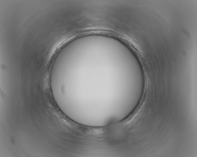 X0000090971357200708021133