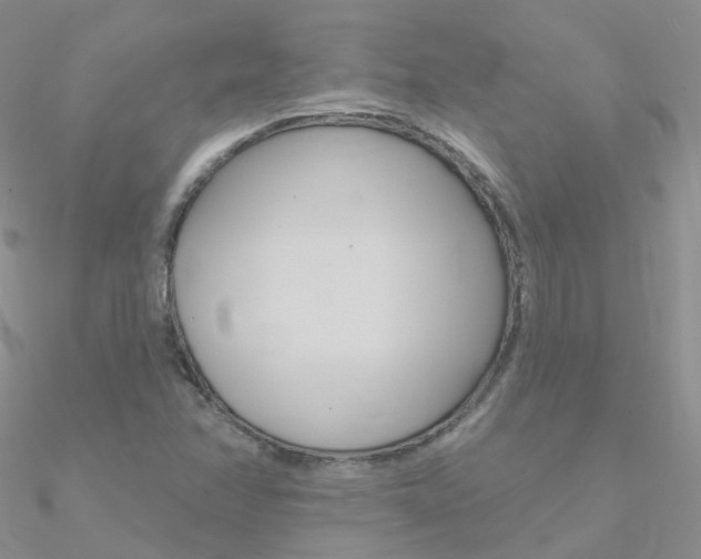 X0000090971358200708021133