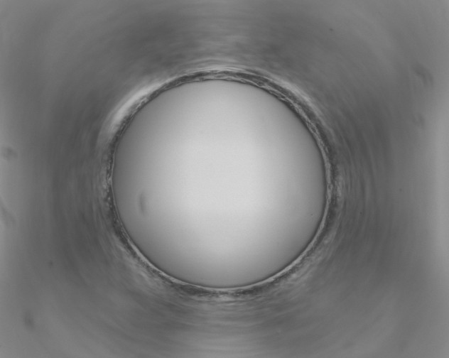 X0000090971359200708021133