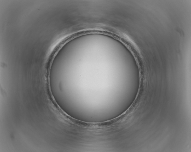 X0000090971360200708021133