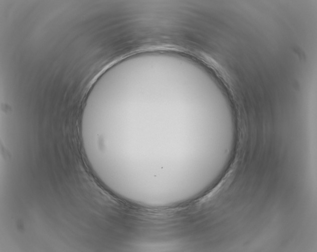 X0000090971361200708021133