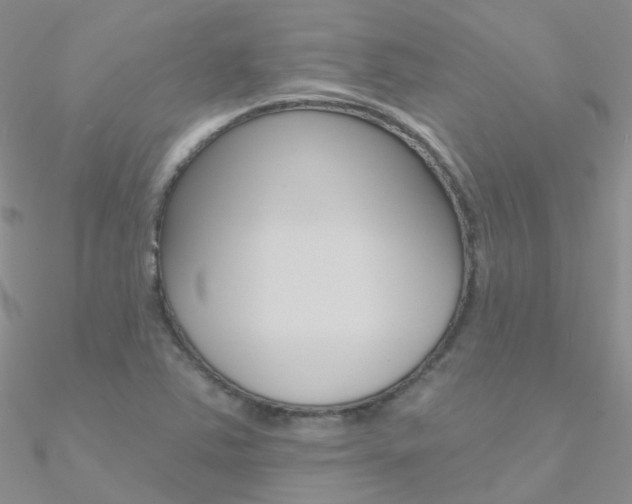 X0000090971363200708021133