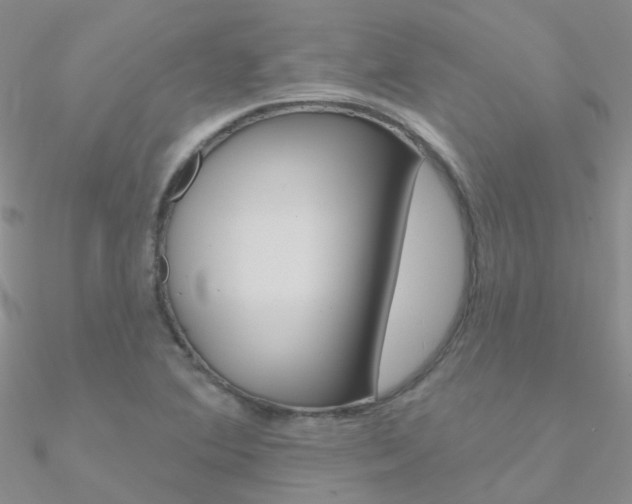 X0000090971364200708021133