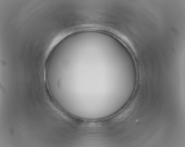 X0000090971365200708021133