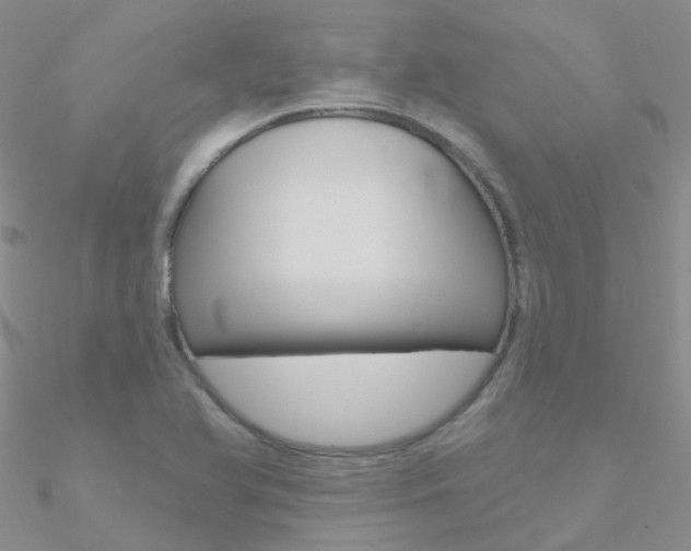 X0000090971366200708021133