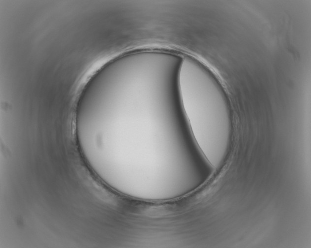 X0000090971367200708021133