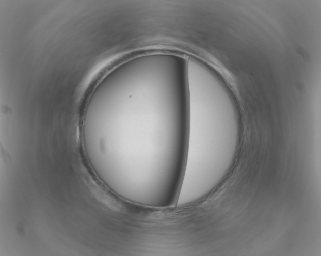 X0000090971368200708021133