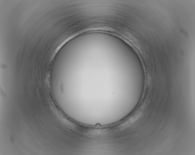 X0000090971369200708021133