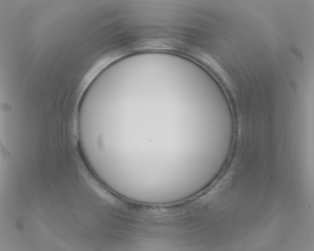 X0000090971370200708021133
