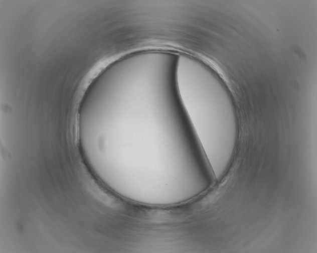 X0000090971371200708021133