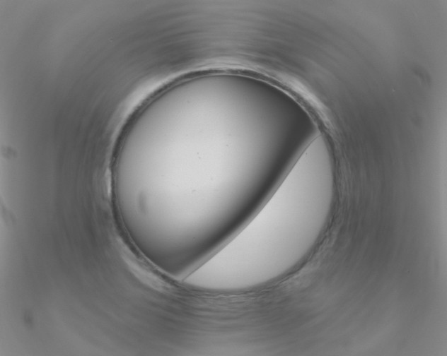 X0000090971372200708021133