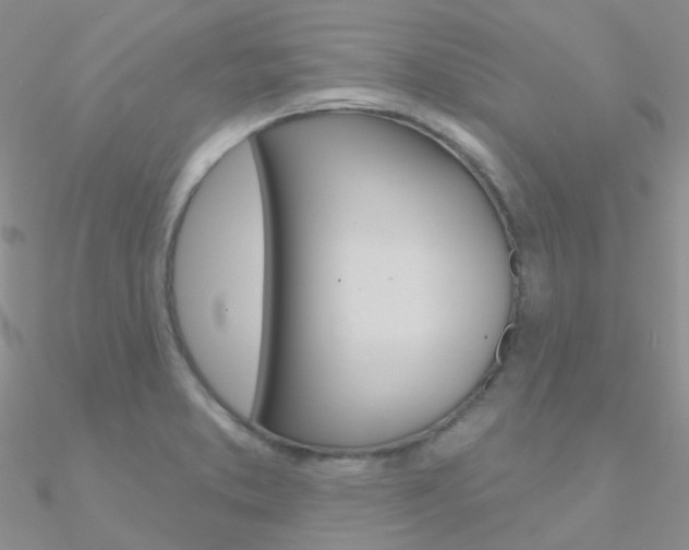 X0000090971373200708021133