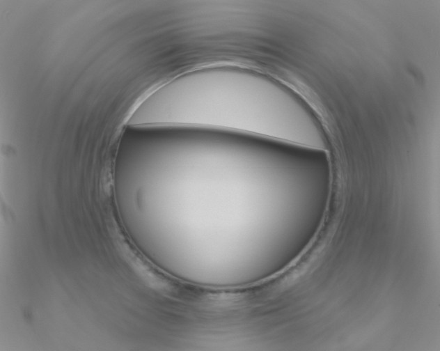X0000090971377200708021133