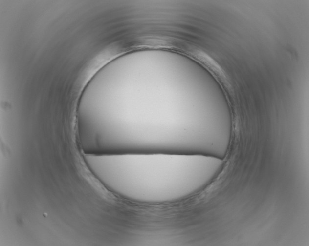 X0000090971378200708021133