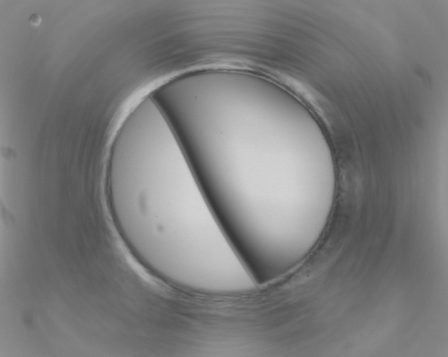 X0000090971379200708021133