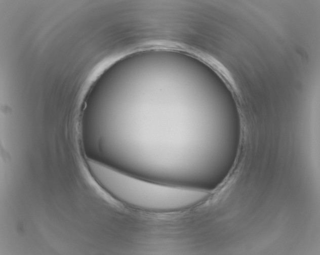 X0000090971381200708021133