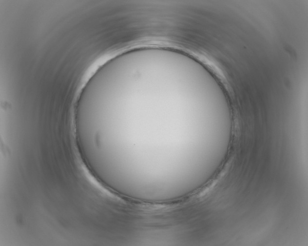 X0000090971382200708021133